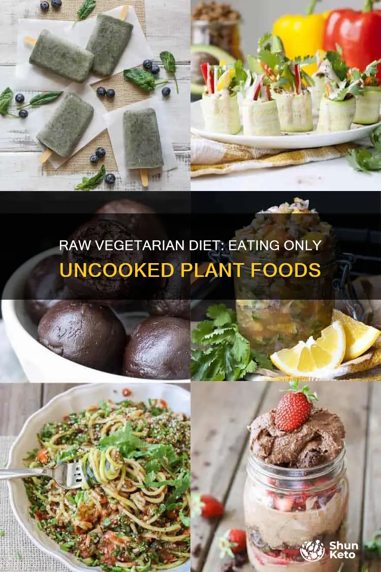what is a raw vegetarian diet