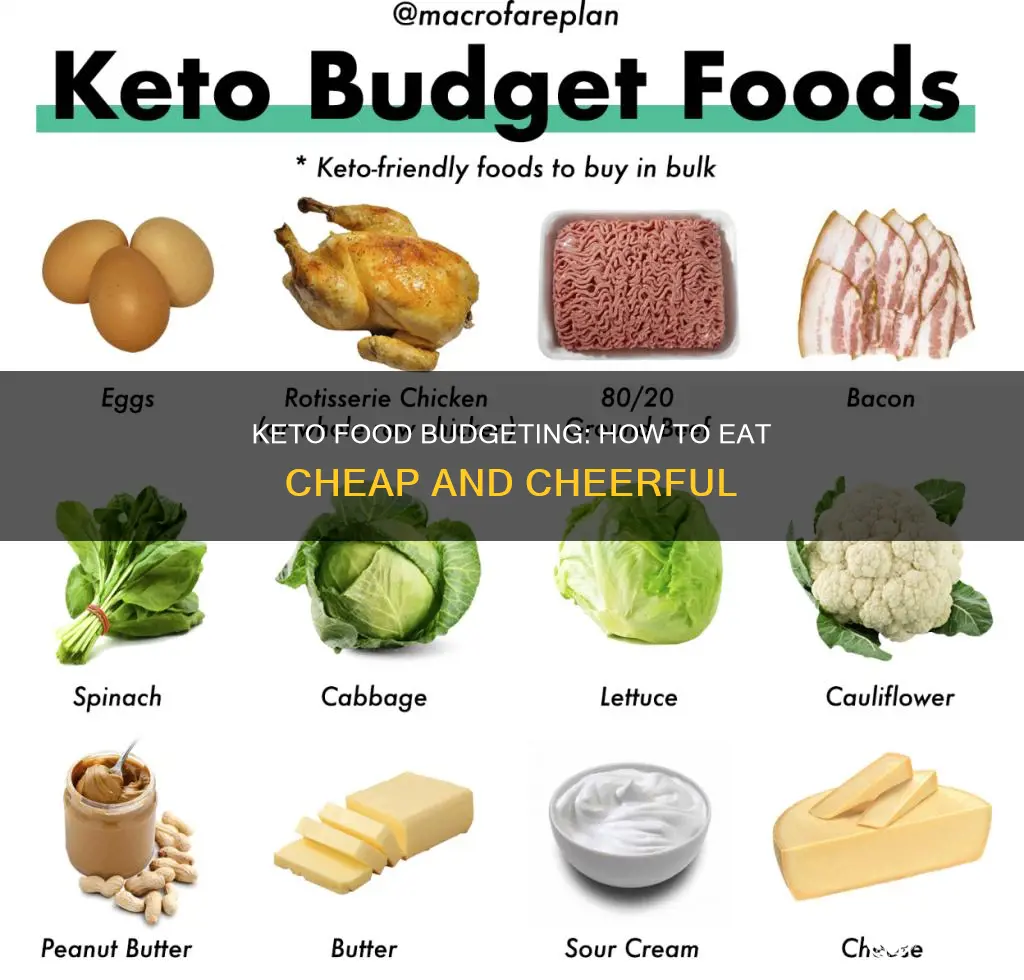 what is a reasonable food budget for one person keto