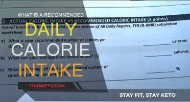 Calorie Intake: How Many Calories Should You Eat Daily?