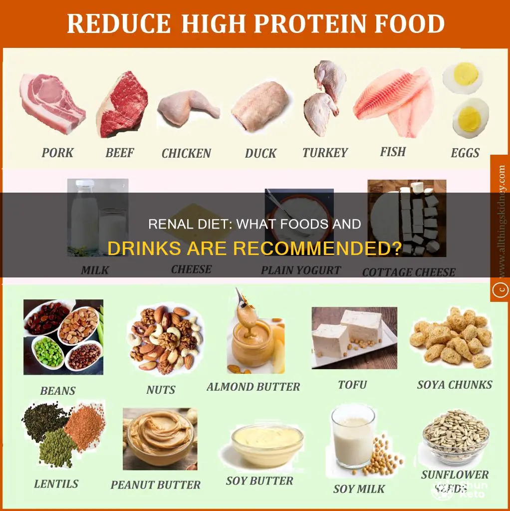 what is a renal diet consist of