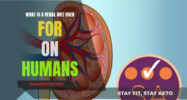 Renal Diet: Eating to Support Kidney Function