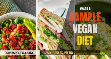 Vegan Diet Basics: Sample Eating Plan Revealed