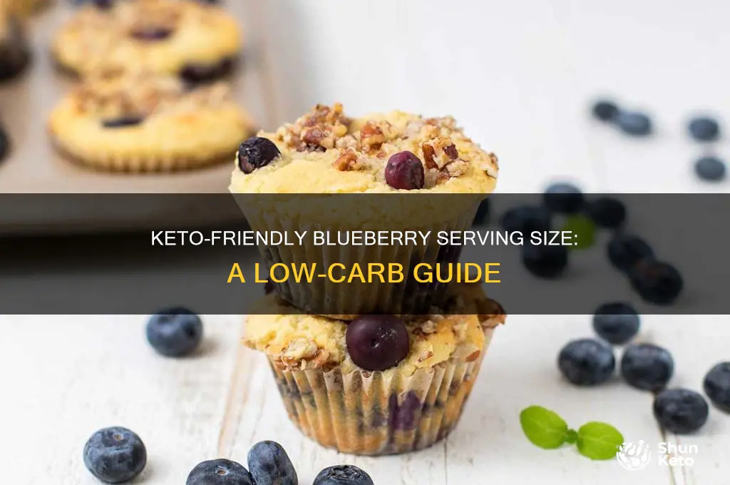 what is a serving of blueberries on keto