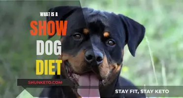 Show Dog Diet: Nutrition for Champions