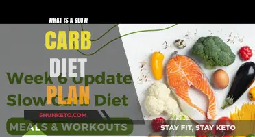 Unraveling the Slow Carb Diet: A Comprehensive Guide