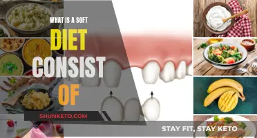 Soft Diets: Easy-to-Eat Foods for Better Health