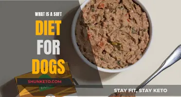 Soft Diet for Dogs: What, When, and Why?