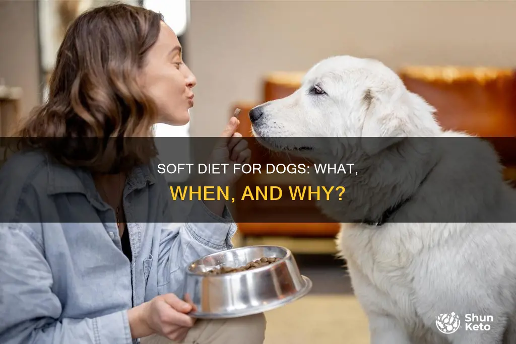 what is a soft diet for dogs