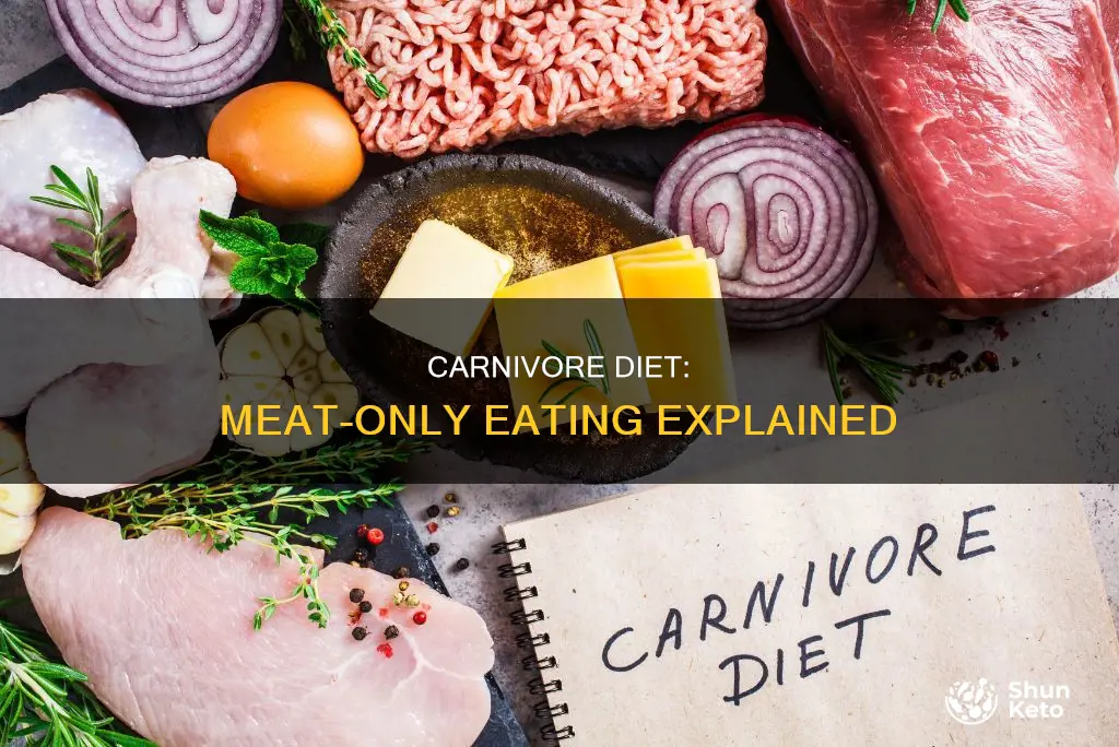 what is a strict carnivore diet