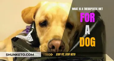Therapeutic Dog Diets: Nutrition for Your Pup's Health
