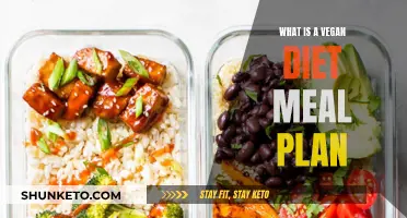 Vegan Diet Meal Plan: What, Why, and How?