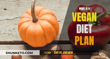 Vegan Diet Plan: What to Eat and How to Start