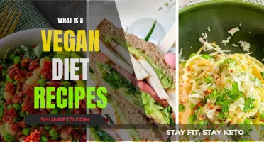 Vegan Diet Recipes: Healthy, Tasty, and Nutritious Options