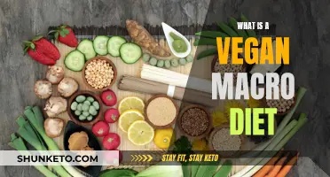 Vegan Macro Diet: Eating for Energy and Health