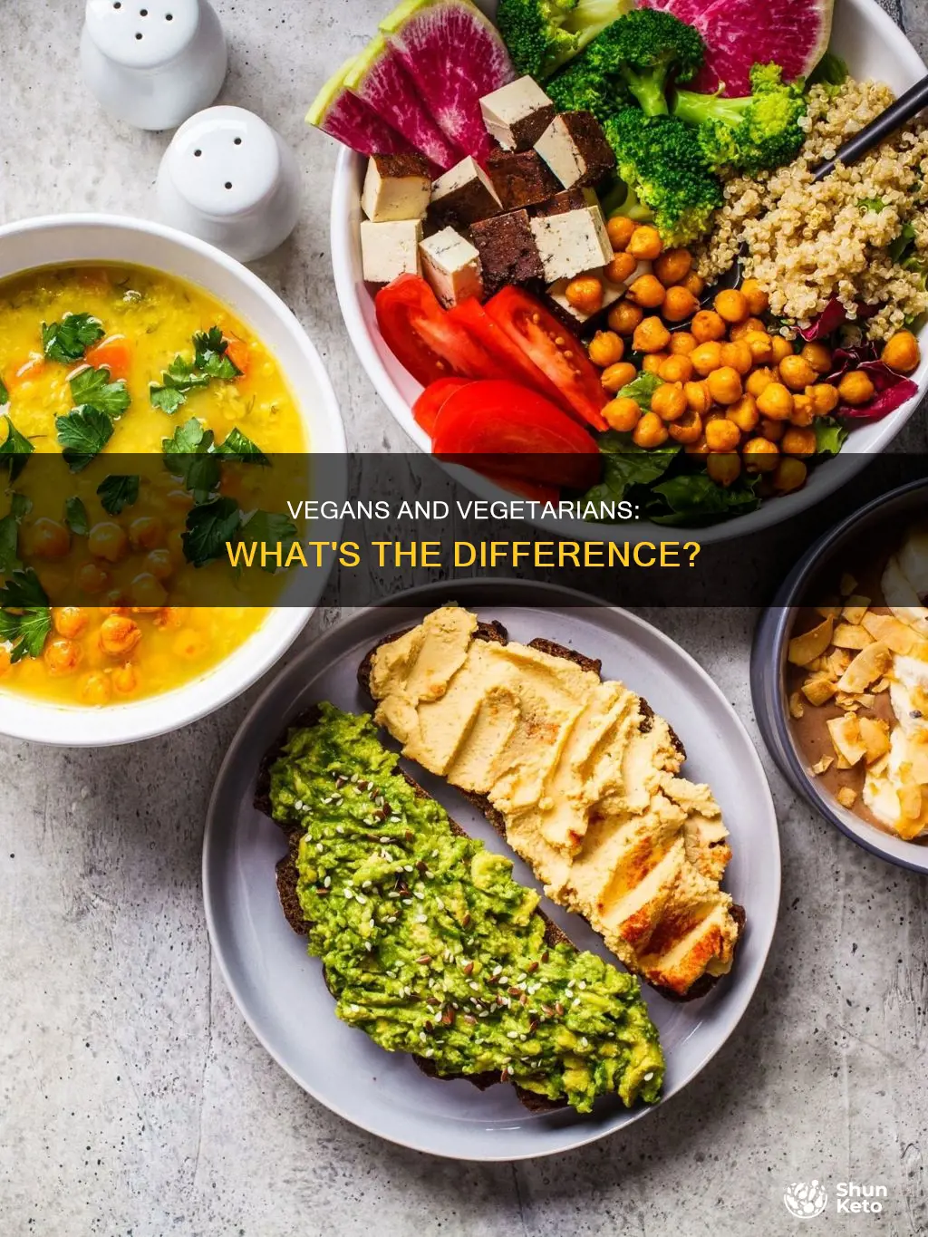 what is a vego diet
