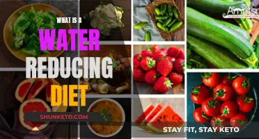 Hydration and Health: Understanding Water-Rich Diets