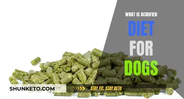 Acidified Diet for Dogs: What, Why, and How?
