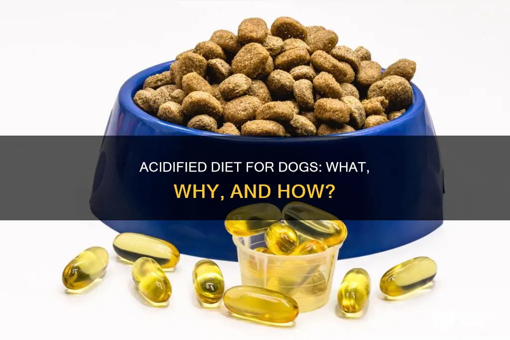 what is acidified diet for dogs