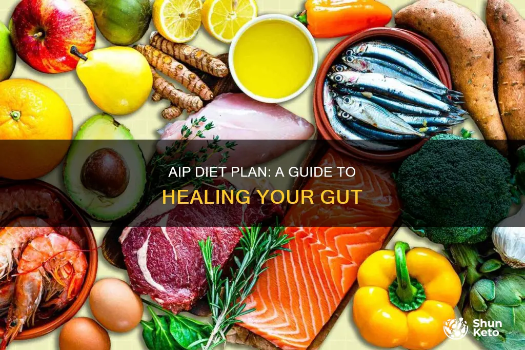 what is aip diet plan