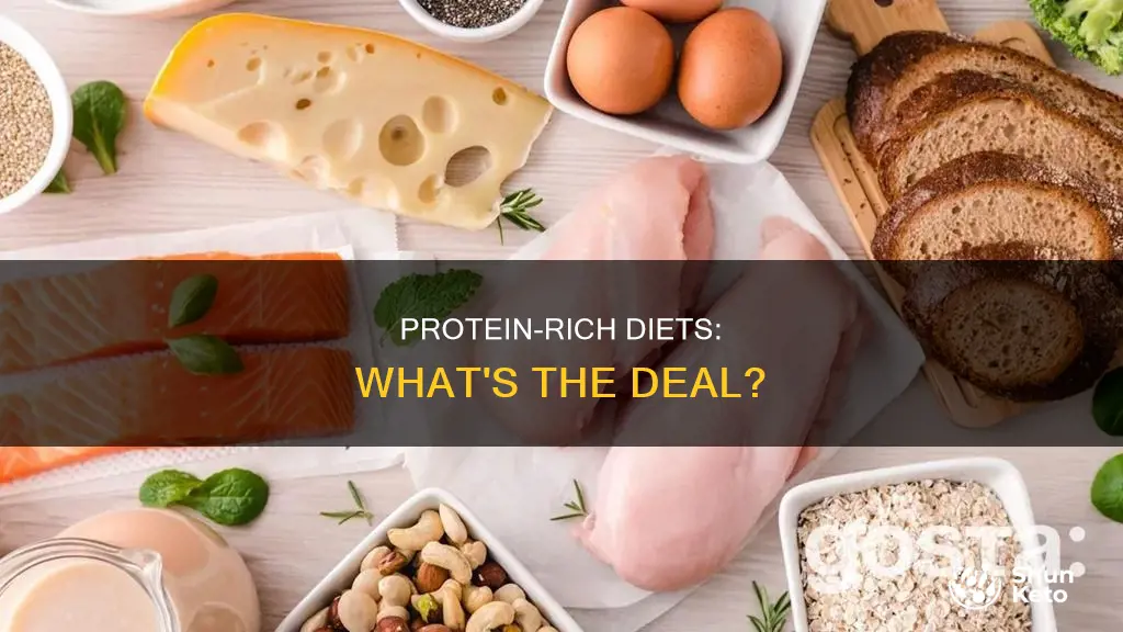 what is all protein diet called