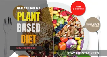 Plant-Based Diet: What Foods Are Allowed?