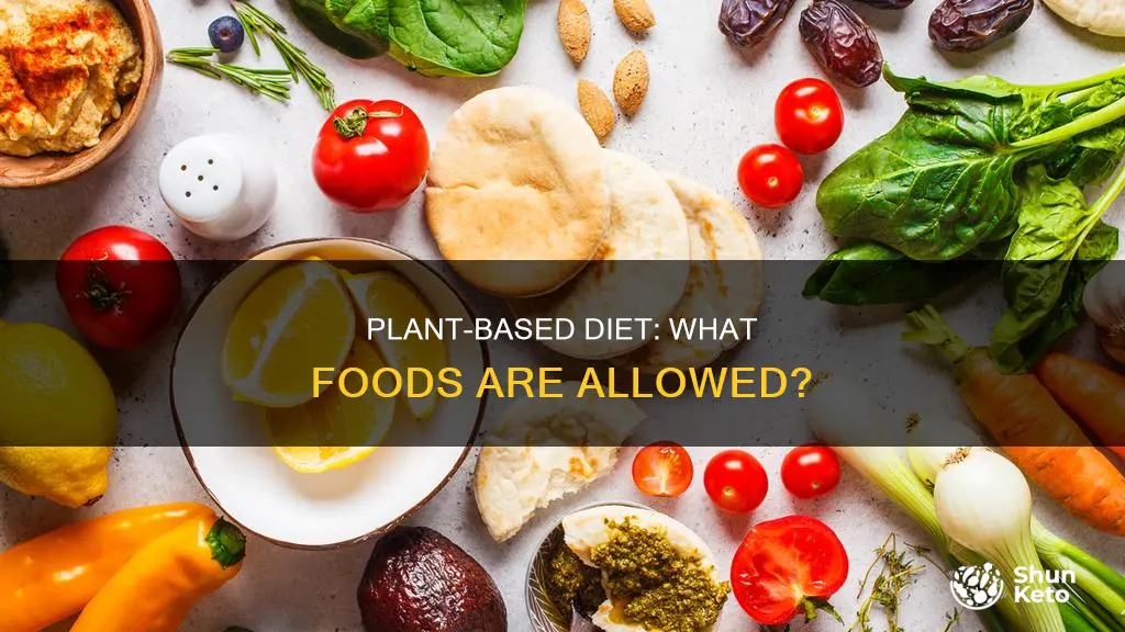 what is allowed in a plant based diet