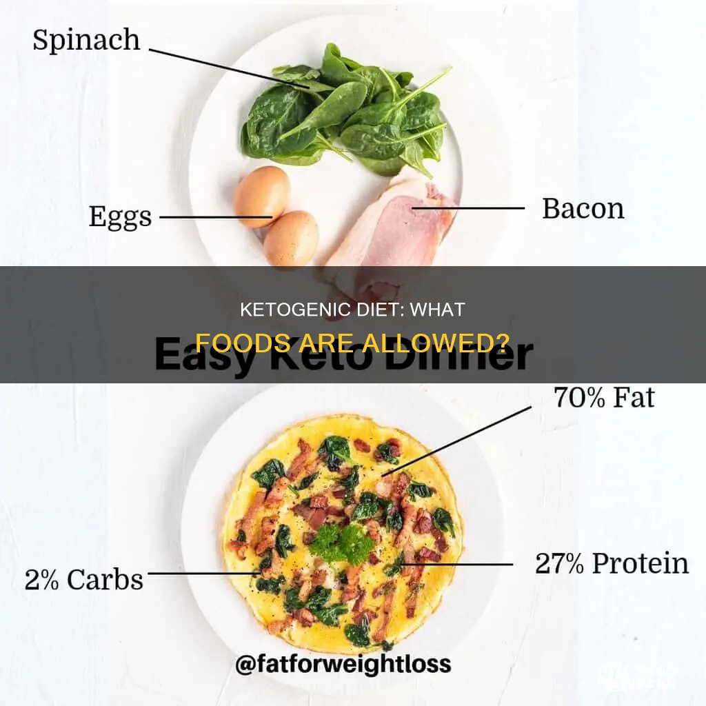 what is allowed in the ketogrnic diet