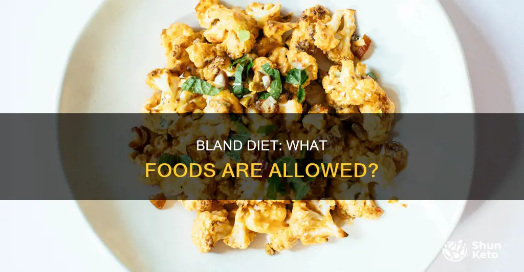 what is allowed on a bland diet