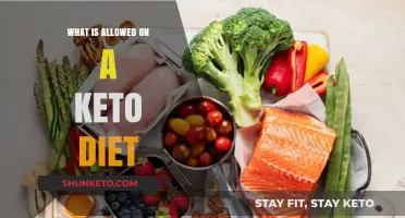 Keto Diet Essentials: Foods to Enjoy and Avoid for Success
