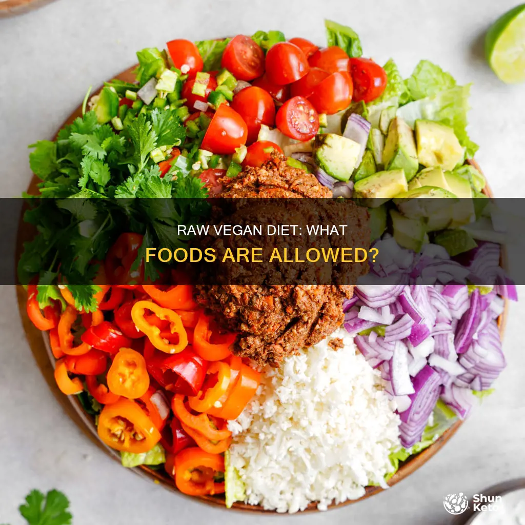 what is allowed on a raw vegan diet