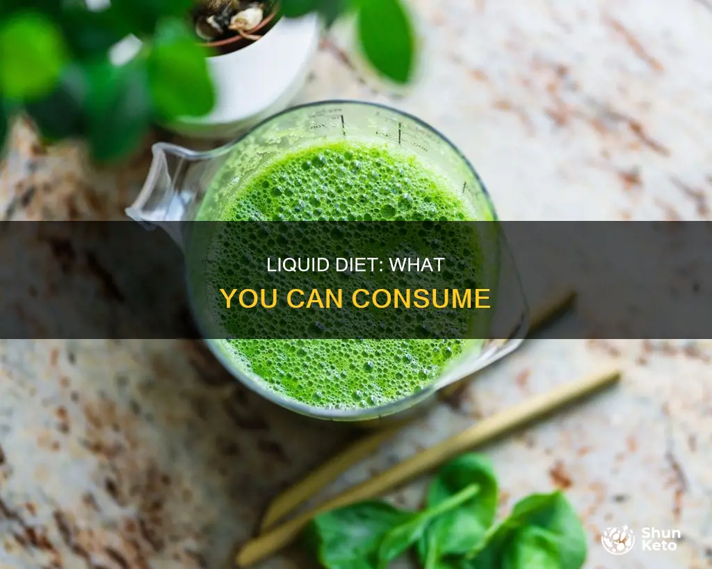 what is allowed on full liquid diet