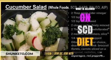 SCD Diet: What Foods Are Allowed?