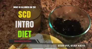 SCD Intro Diet: What Foods Are Allowed?