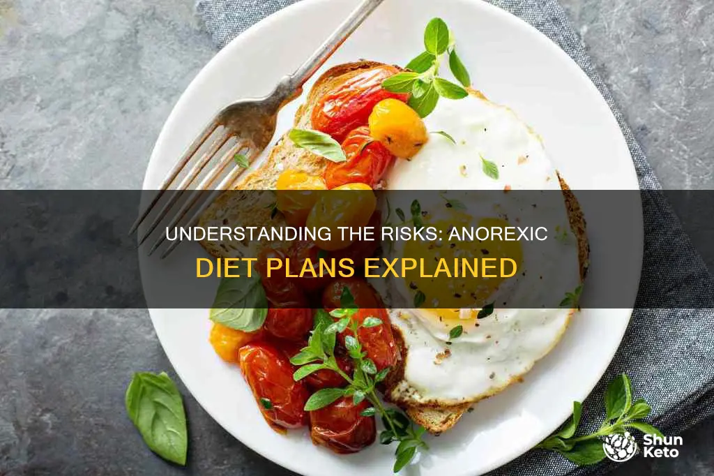 what is an anorexic diet plan