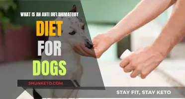 Inflammation-Fighting Diet for Dogs: What to Know