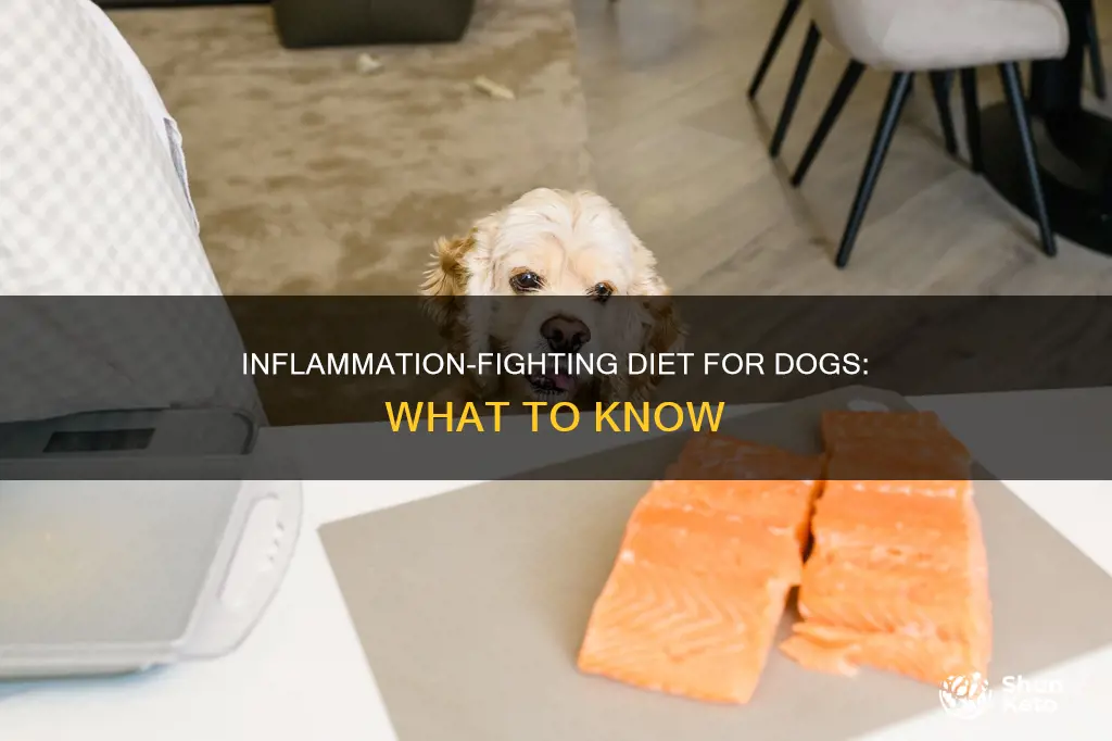 what is an anti inflammatory diet for dogs