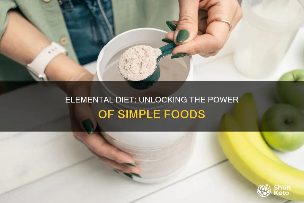 what is an elemental diet plan