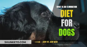 Elimination Diet for Dogs: What, Why, and How?