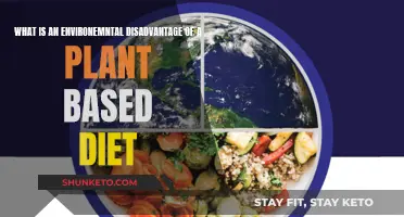 Plant-Based Diets: Environmental Disadvantage and Unseen Impact