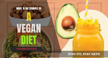 Vegan Diet: Sample Daily Menu for Beginners