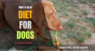 Superfoods for Dogs: The SO Diet Explained