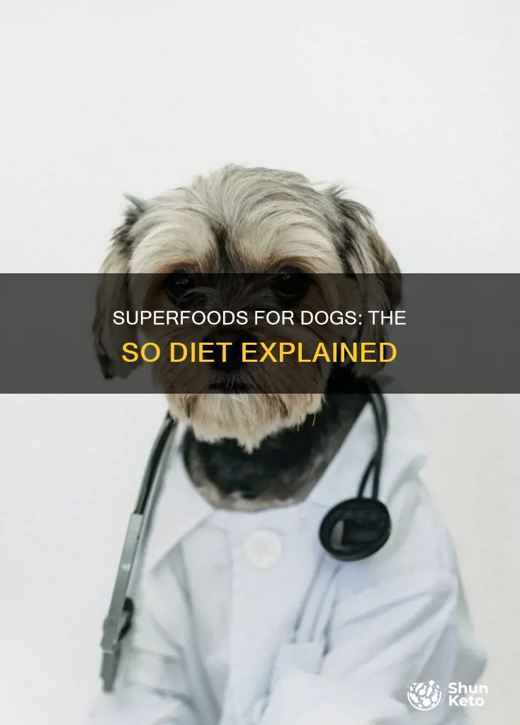 what is an so diet for dogs
