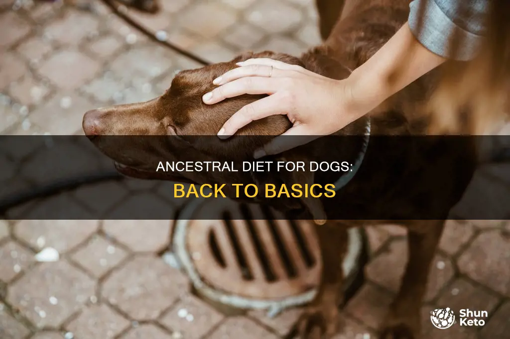 what is ancestral diet for dogs