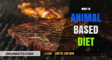 Animal-Based Diet: A Meat-Centric Eating Approach
