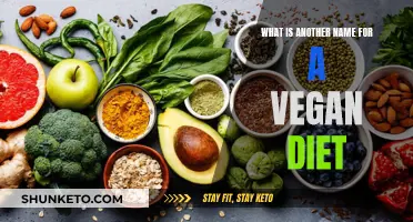 Vegan Diet: Exploring Alternative Names and Their Nuances