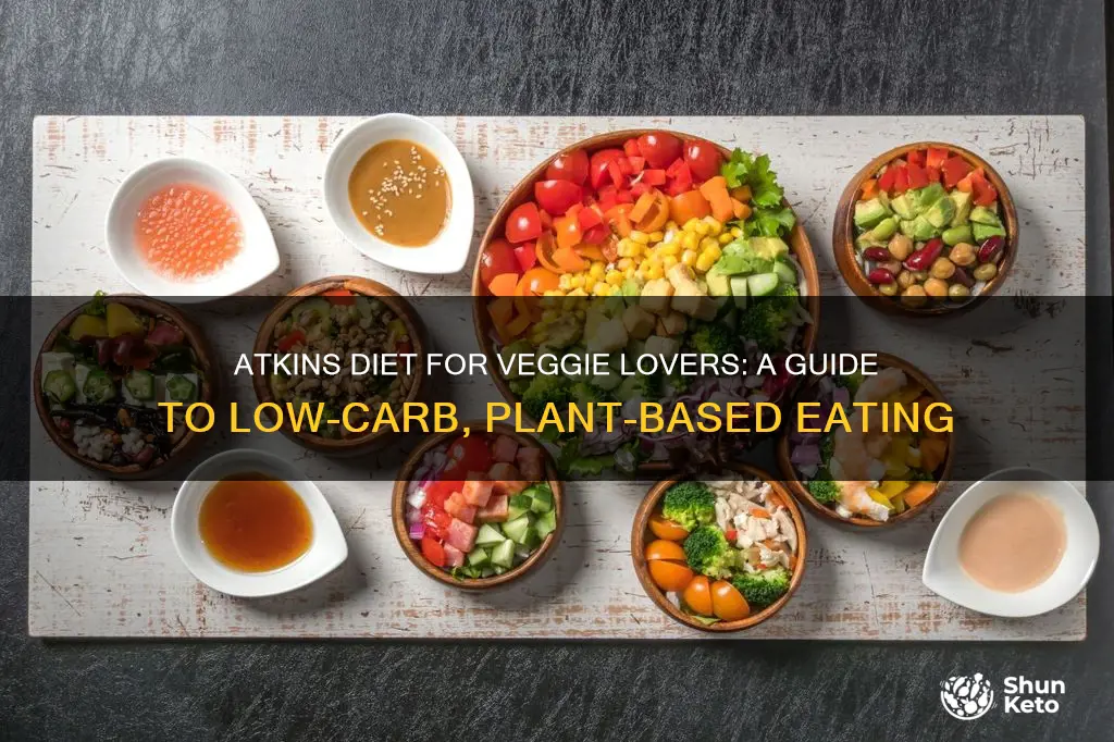 what is atkins diet plan for vegetarians