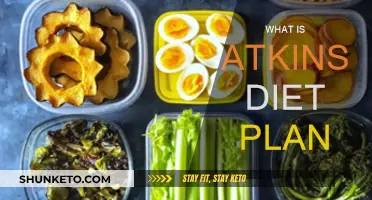 Atkins Diet Plan: What You Need to Know