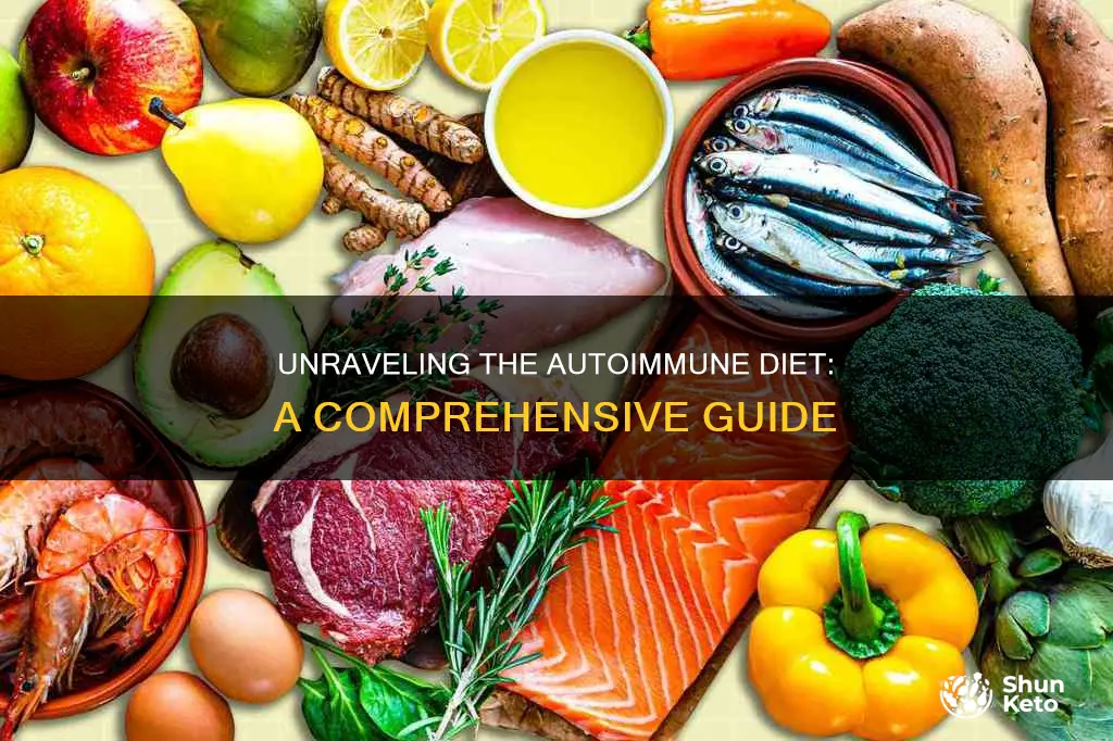 what is autoimmune diet plan