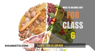 Healthy Eating: Balanced Diets for Kids