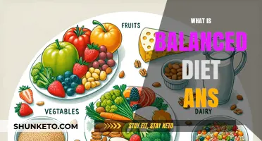 Healthy Eating: Understanding Balanced Diets